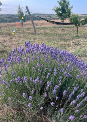 Domaine Bonamy (Винодельня)